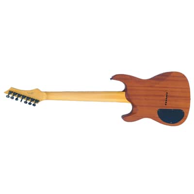 CHAPMAN GUITARS ML-7 S image 3