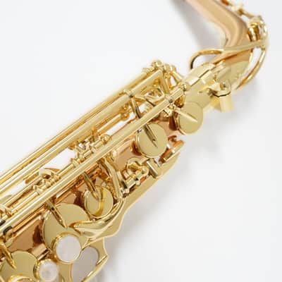 【Special price】 Yanagisawa A-WO2 [AWO2] Professional Alto Saxophone image 6