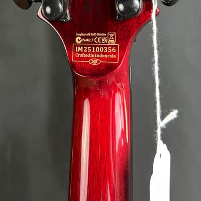 Schecter Synyster Standard Plus Electric Guitar Transparent Deep Red Finish imagen 10