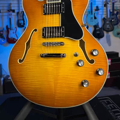 Eastman Guitars T486-GB Thinline Semi-hollowbody Electric Guitar - Goldburst, w Case, Free Plek! 822 image 1