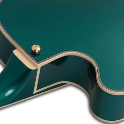 Schecter Coupe Special Edition image 7