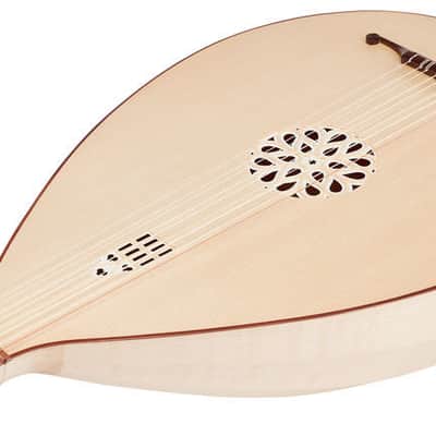 Folk Instruments Professional Design 5 Course Medieval Lute w/ Hardcase image 6
