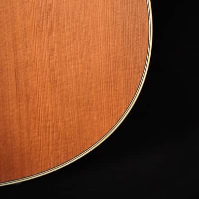 Iris ms-OO Redwood / Rosewood 2024 - Natural Satin image 7