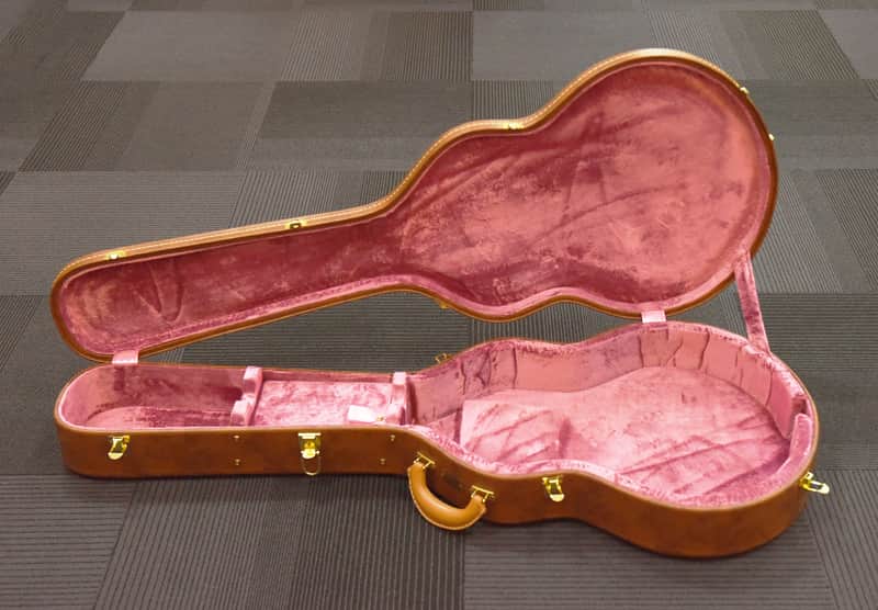 Gibson Lifton Historic ES-335 Case, Recent image 1