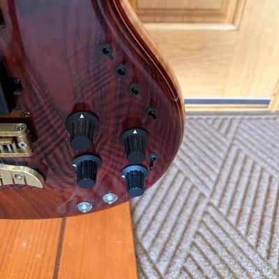 Alembic Jerry Garcia Tribute Coco Bolo LED image 18