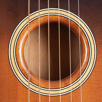 Fender American Acoustasonic Telecaster (Sunburst) - Acoustic Guitar image 10