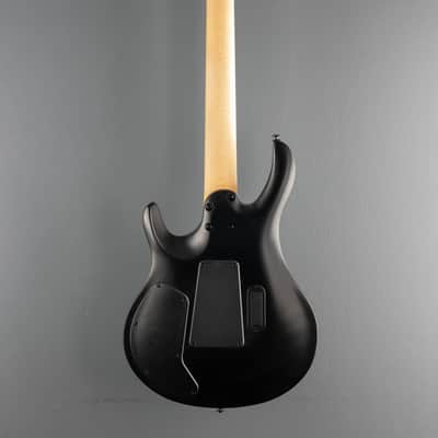 Paul Reed Smith SE Chleo, '25 image 5