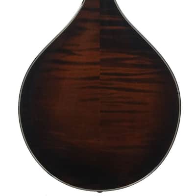 Northfield NFMSP A4 Special Alpine Spruce Icelandic Brown image 4