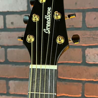 Breedlove Performer Pro Concert Thinline CE- Natural Aged Toner w/ Hard Case image 5
