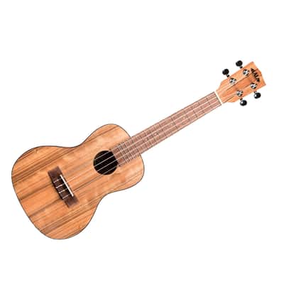 Pacific Walnut Concert Kala image 1