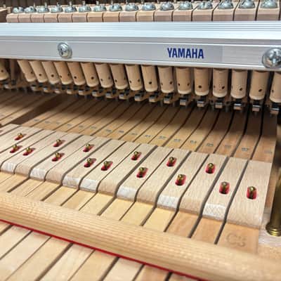 Yamaha C3 6'1" 2007 Ebony Polish. image 12