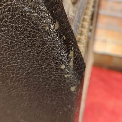 Vintage 1973 Fender Musicmaster Bass 2-Channel 12-Watt 1x12" Bass Combo Silverface image 9