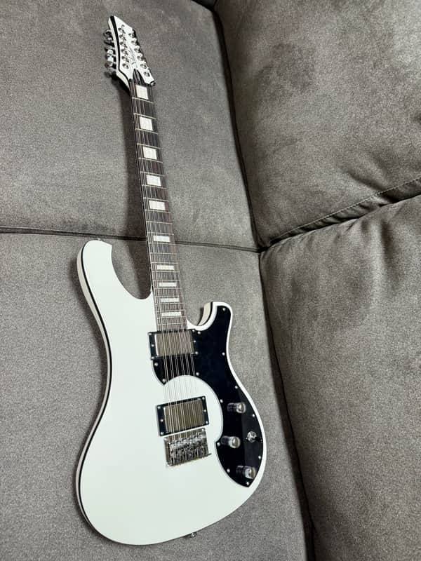Schecter Stargazer 12 2024 - Present - Gloss White