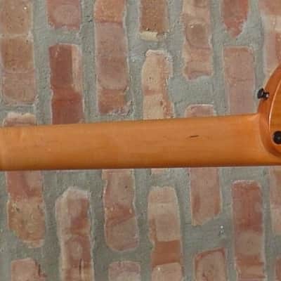 Veillette Paris Lined Fretless image 5