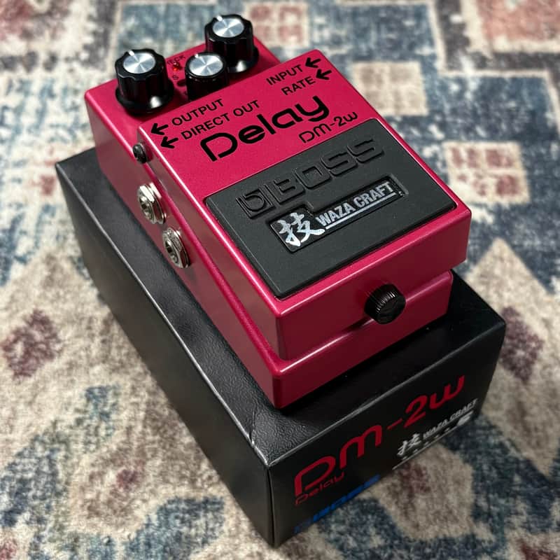 Boss DM-2w Delay