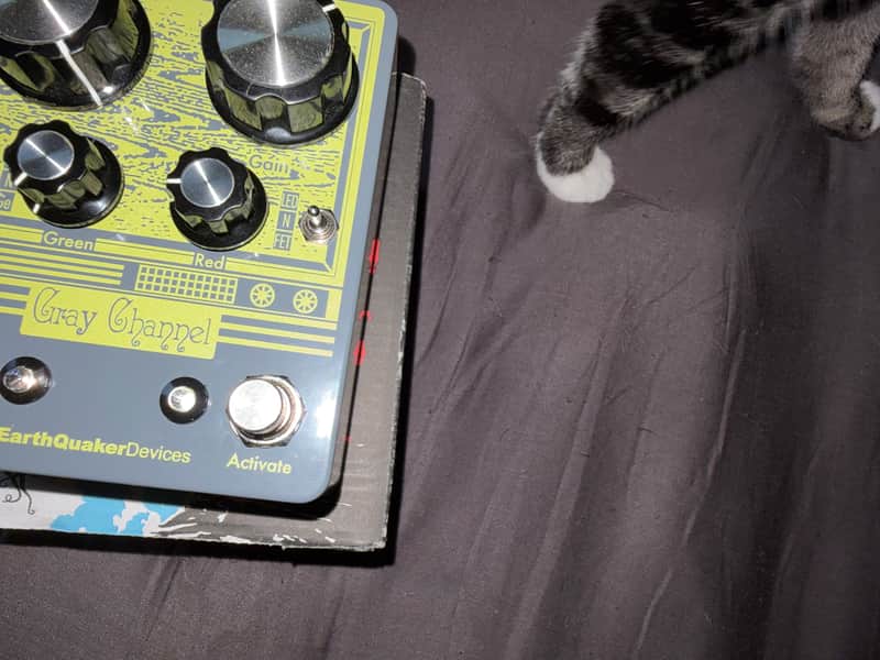 EarthQuaker Devices Gray Channel Dynamic Dirt Doubler | Reverb