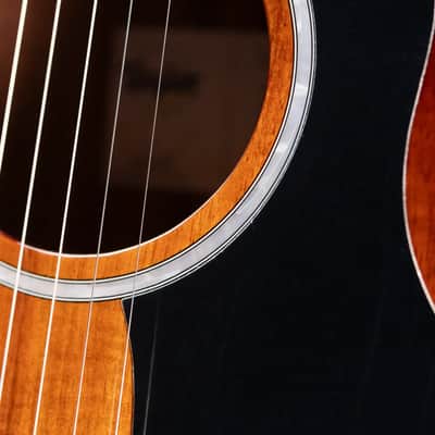Taylor 224ce-K DLX Grand Auditorium Acoustic/Electric Guitar with Hardshell Case image 14