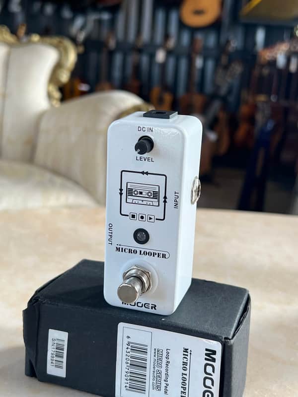 Mooer Micro Looper
