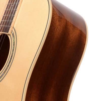 Zager ZAD-50N Acoustic Guitar w/OHSC USED image 5