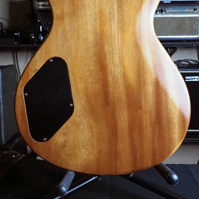 Monster top! Paul Reed Smith PRS Singlecut Artist's Series Package. Gold hardware. image 6