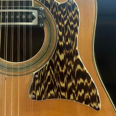 Kingston 12-String Acoustic-Electric Guitar w/ Soundhole Pickup & Hard Cas image 3