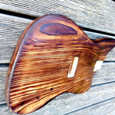 Telemaster body, "barncaster" image 6
