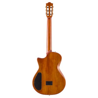 Bromo BEN2C Electric Nylon String Guitar, Thinline Fully Chambered Semi-Hollow Body Slim Neck Dual Pickup Stage Live Performance Fusion Classical Guitar with Hard Case (Natural) image 3