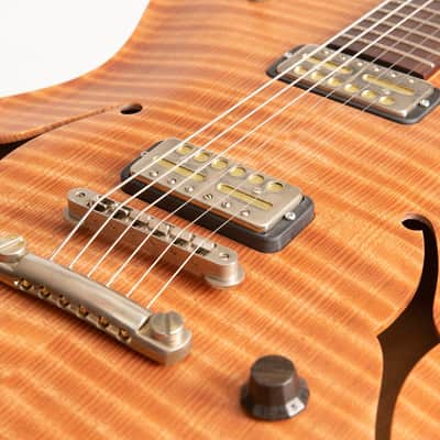 Nik Huber Rietbergen Standard Electric Guitar, Adam Miller Custom Signature image 9