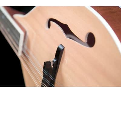 Saga AM-10 A-Model Mandolin Kit image 3