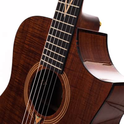 Cort LUXE nylon II Frank Gambale Cutaway with Electronics W-case 2039gr image 7