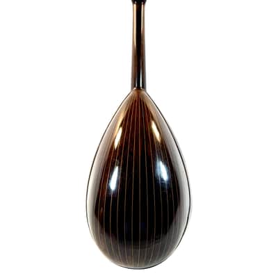 Umberto Ceccherini Mandola / Octave Mandolin (Giovanni Palladino Label) 1896 image 13