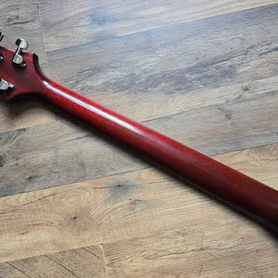 PRS Standard 24 (2008) image 15