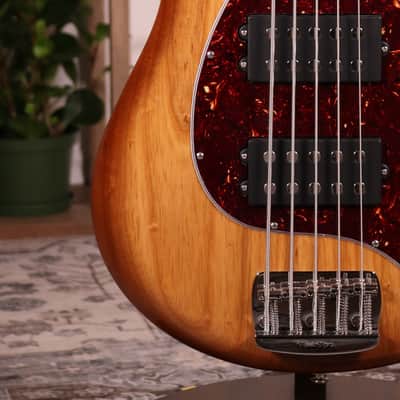 MusicMan Stingray Special HH 5 strings - Roasted Flamed Maple Fingerboard, Hot Honey image 4