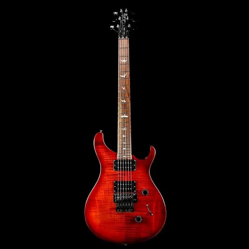PRS SE Floyd Custom 24 (2017 - Present) image 2