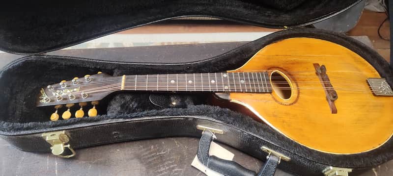 Gibson A style mandolin (snakehead) w/ HSC image 1