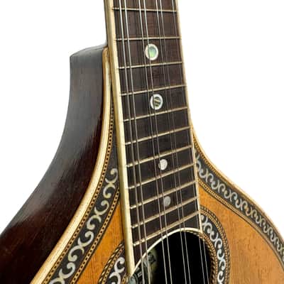 Flat-Back Mandolin Model Luxe Bruno Klemm 1890's / 1900's image 6