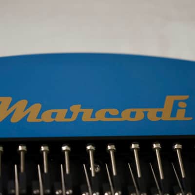 Marcodi Harpejji K24 (Custom) 2023 - Blue and Gold image 7