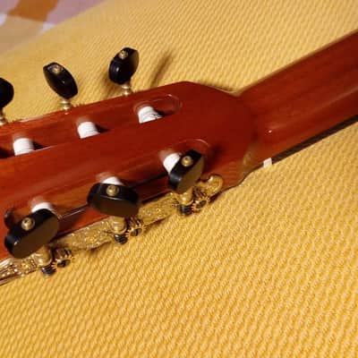 2020 Cordoba (Luthier Select Friederich) Classical Guitar image 7