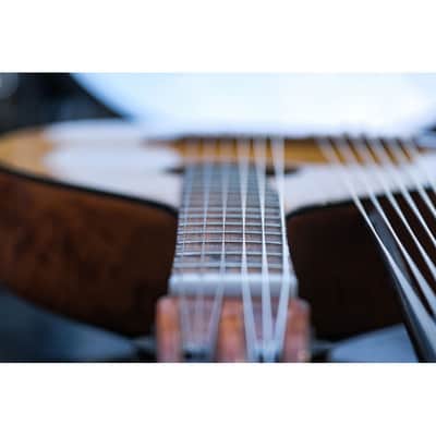 1943 Levin Model 102 12-string Bass Lute natural image 19