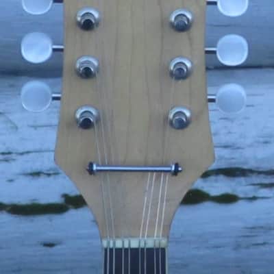 Carvin MB-1 electric mandolin image 5
