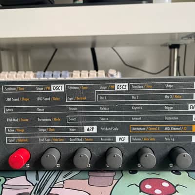 Waldorf Pulse+ Rackmount Synthesizer 1997 - Blue image 3