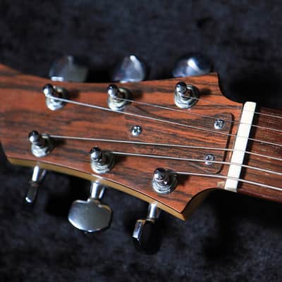 AMPEG ADA6 Dan Armstrong 1969 Plexiglass Lucite Guitar image 10