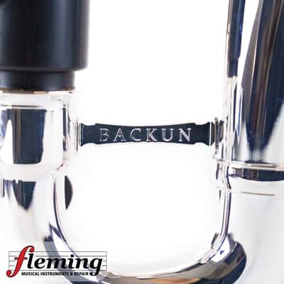 Backun Q Series Professional Bass Clarinet to Low C - Grenadilla / Silver Plate Bild 18