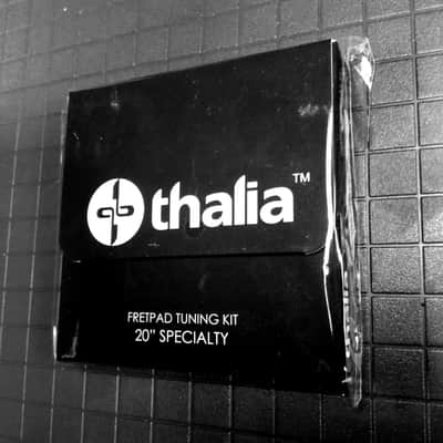 Thalia 20" radius capo insert set for Rainsong, some Carvin, Strandberg, Taylor nylon image 1