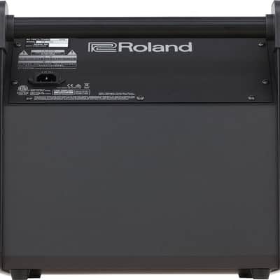 PM-100 Roland PM-100 Personal Monitor image 4