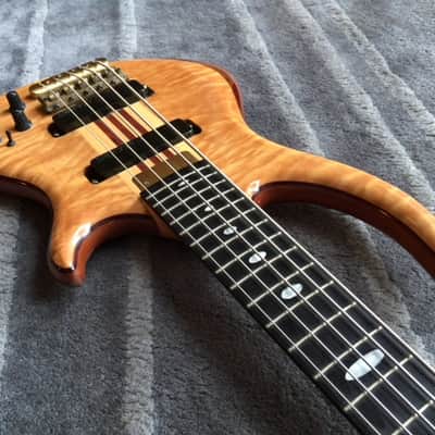 Alembic Roque 5 image 3