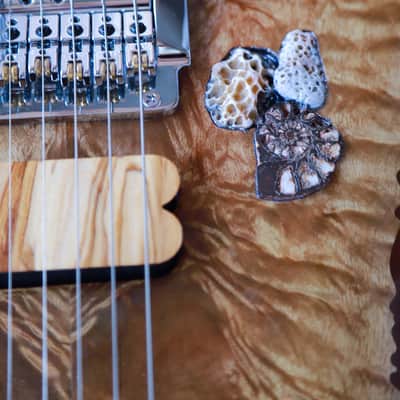 Immagine GB Liuteria Custom Boutique Ergal 6 string Fossil edition - 4