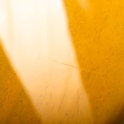 Gibson Les Paul Special, TV Yellow | Demo image 16