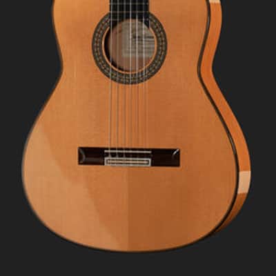 Juan Hernandez Profesor Spruce Flamenca Spanish Flamenco Guitar image 1