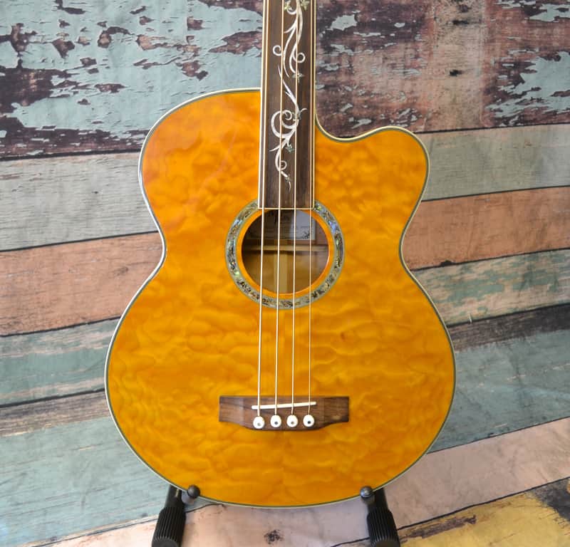 Michael Kelly Dragonfly 4FL Fretless Acoustic Bass image 1